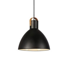 EAGLE-Pendant-1L-22cm-Black-1