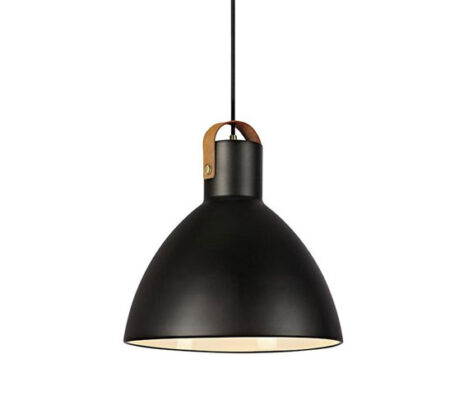 EAGLE-Pendant-1L-22cm-Black-1