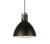 EAGLE-Pendant-1L-22cm-Black-1