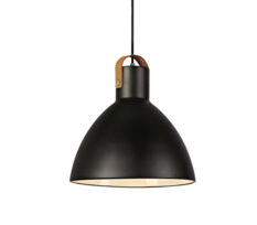 EAGLE-Pendant-1L-35cm-Black-1