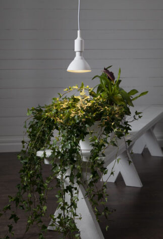 LED-LAMPA-E27-PAR38-PLANT-LIGHT-3