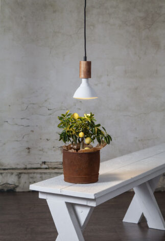 LED-LAMPA-E27-PAR38-PLANT-LIGHT-4