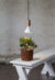 LED-LAMPA-E27-PAR38-PLANT-LIGHT-4