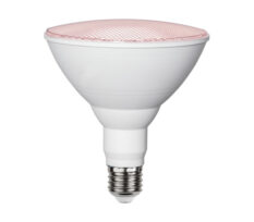 Plantelys PAR38 E27 16W 1200lm (Trivsel)