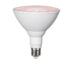 Plantelys PAR38 E27 16W 1200lm (Trivsel)