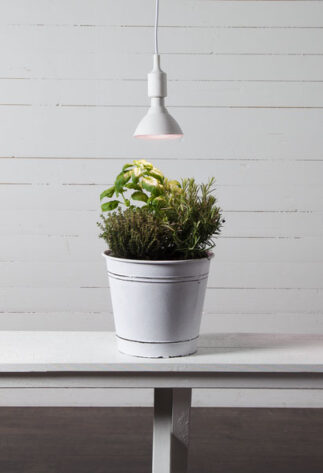 LED-LAMPA-E27-PAR38-PLANT-LIGHT-24
