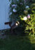 SOLAR-SPOTLIGHT 2-P POWERSPOT 3