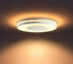 Philips-Hue-WA-Being-Taklampe-32W-Hvit-ink-2