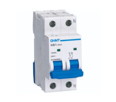 Chint Overbelastningsvern 2P 63A 10KA