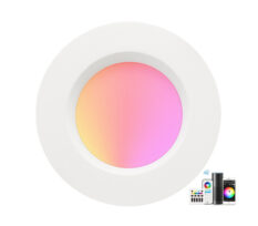 NP Downlight LED