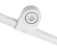 Zip Star Hvit