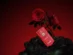 02_red_NO