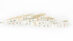 SMD 5050 60leds 4in1 RGBW (1)