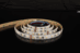 RGBW 60 LEDS 2