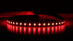 SMD 5050,96LEDS,RGBW 4IN1 1 (5)