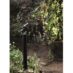 Garden 24 45cm spot_2