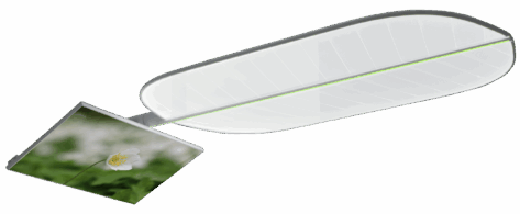 d-tec_leaf_monitor_bild8_frilagd