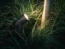 1741530P7-carousel-APP_07