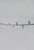 706325_suno_150