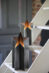 706398_asteri_100