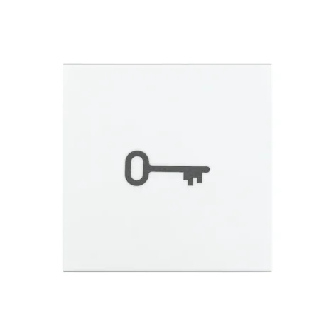 SG Bryterknapp Symbol Nøkkel Hvit