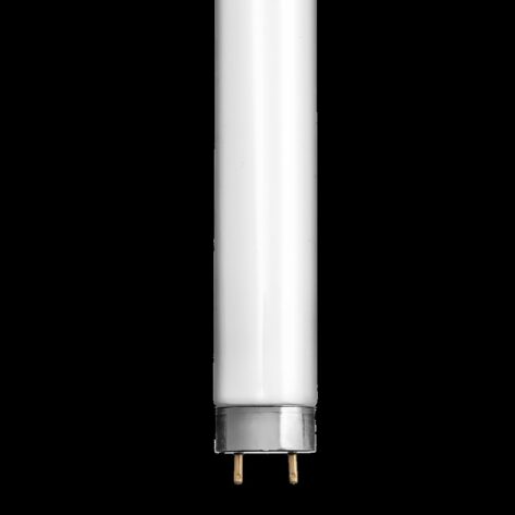 T8 lysrør 15W 830 G13 438mm – VarmHvit lysstoffrør